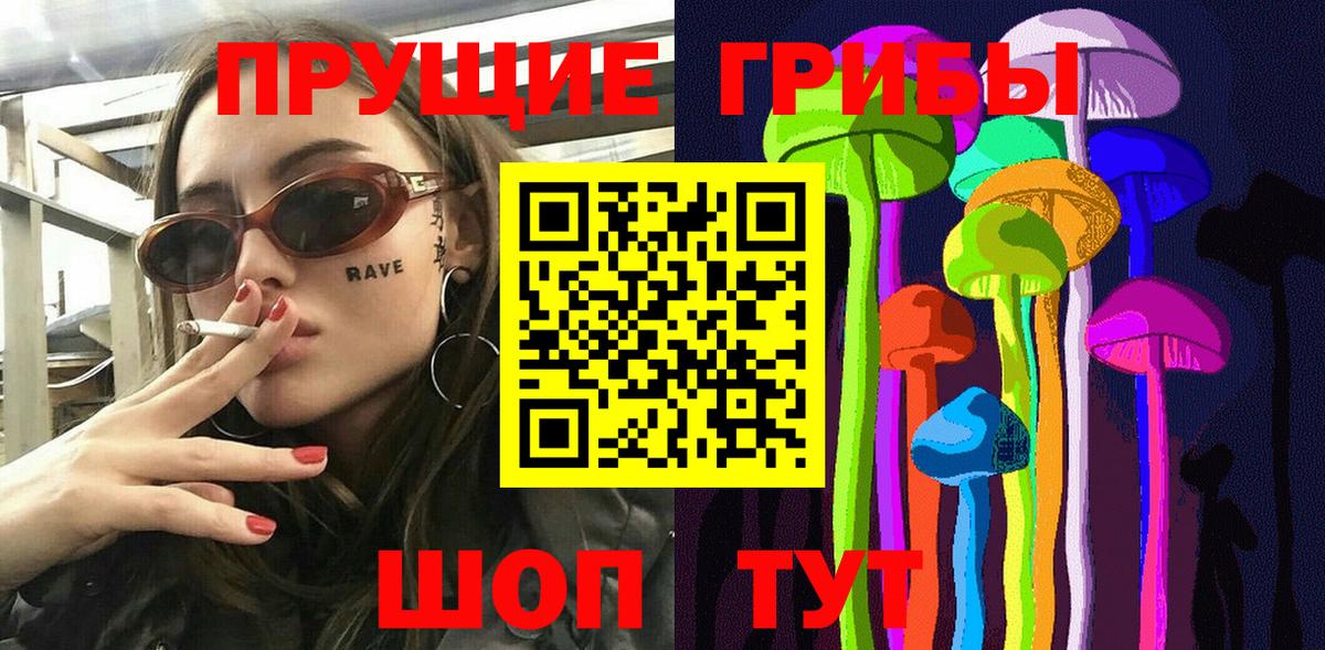 Галлюциногенные грибы Psilocybe Георгиевск