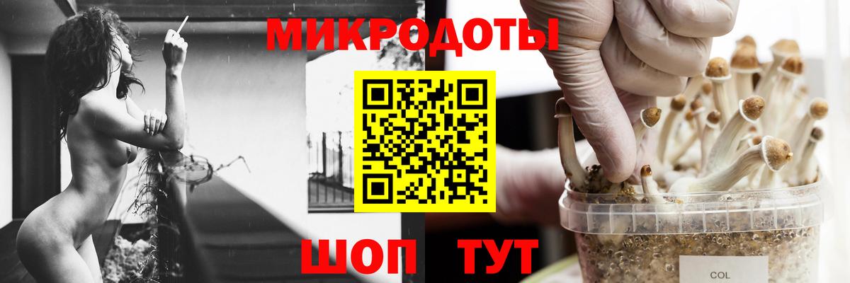 Псилоцибиновые грибы прущие грибы  Вход с VPN  Георгиевск 