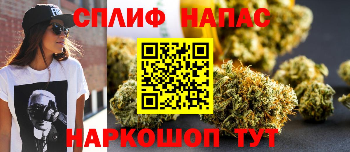 Бошки марихуана сатива  Бошки марихуана планчик  Марихуана AK-47  Вход с VPN  Георгиевск 